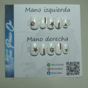 M - Tigre mimoso
