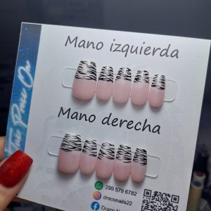 S ‐ Cebra