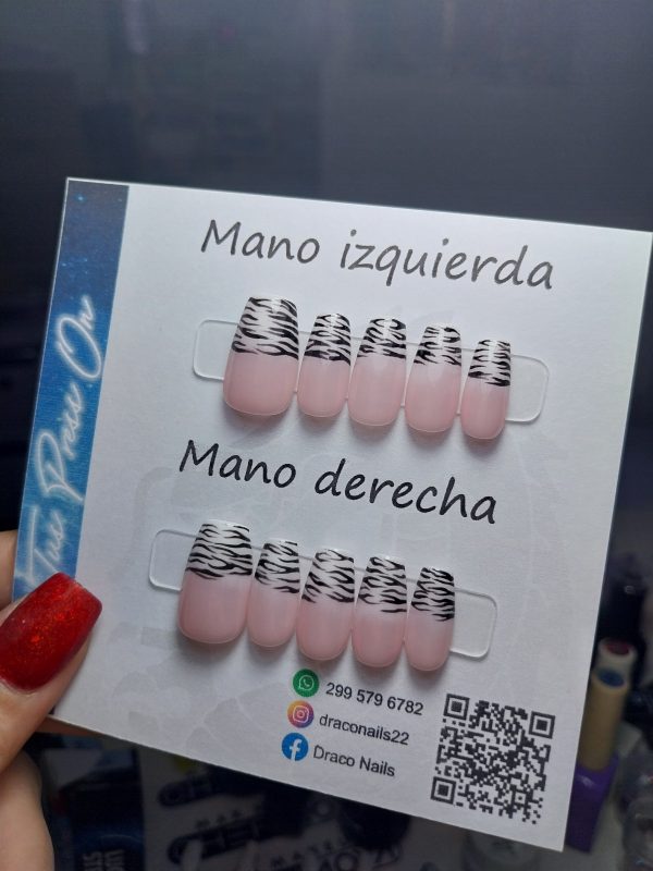 S ‐ Cebra